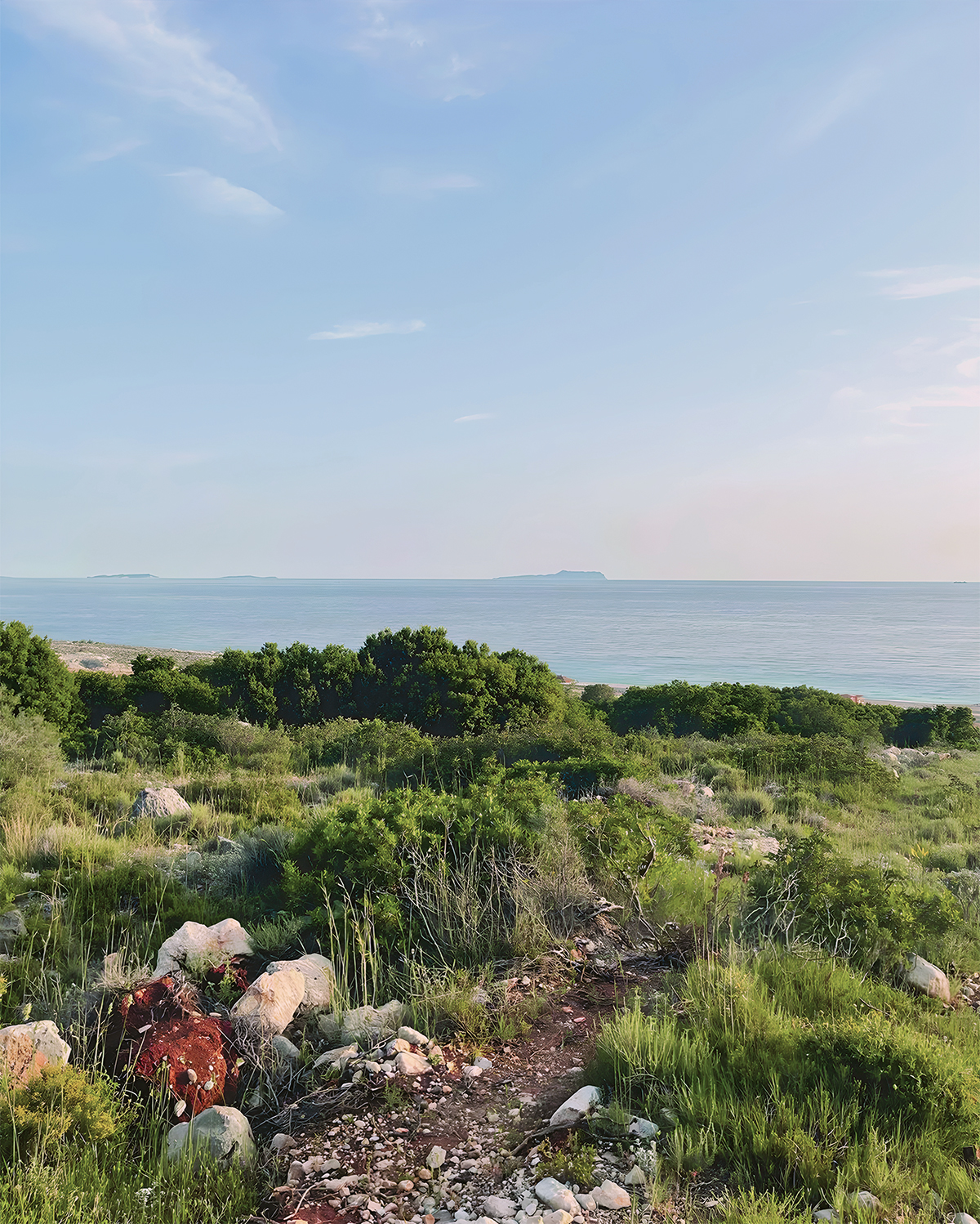 Green Coast IIJužné pobrežie Albánska pozostáva zo vzácnej vege táciekríkov maquis, ktoré majú vo všeobecnosti malé tmavé listy pokryté vosko vou vonkajšou