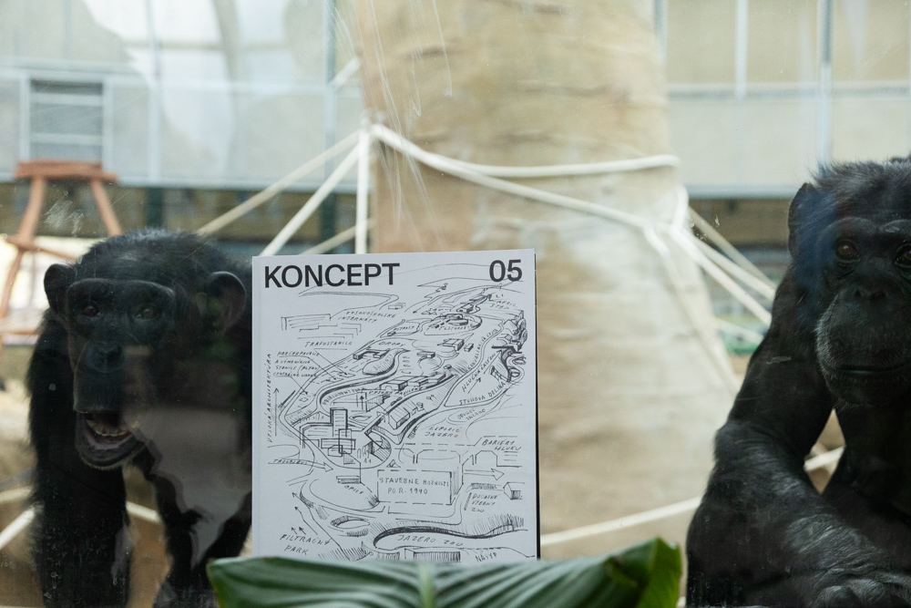 krst koncept zoo T0A5802web