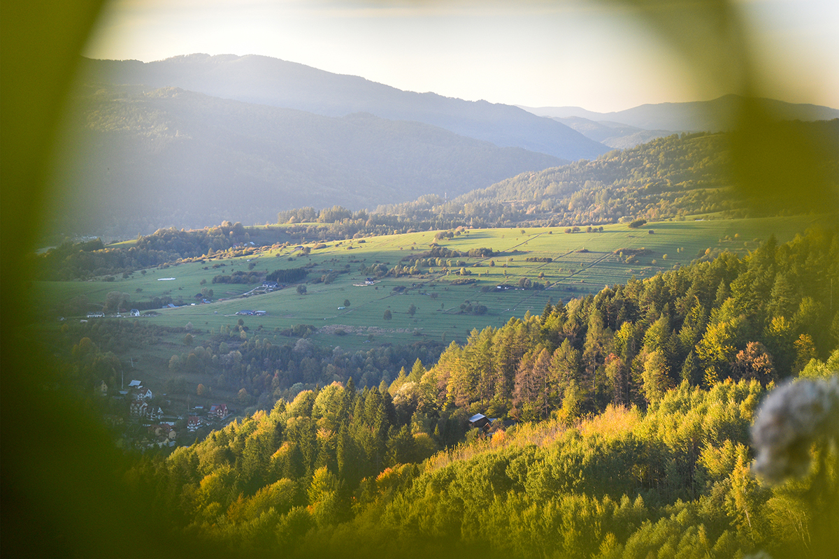 4. finalistka #MOJEMIESTO 2025 Dominika Valeková