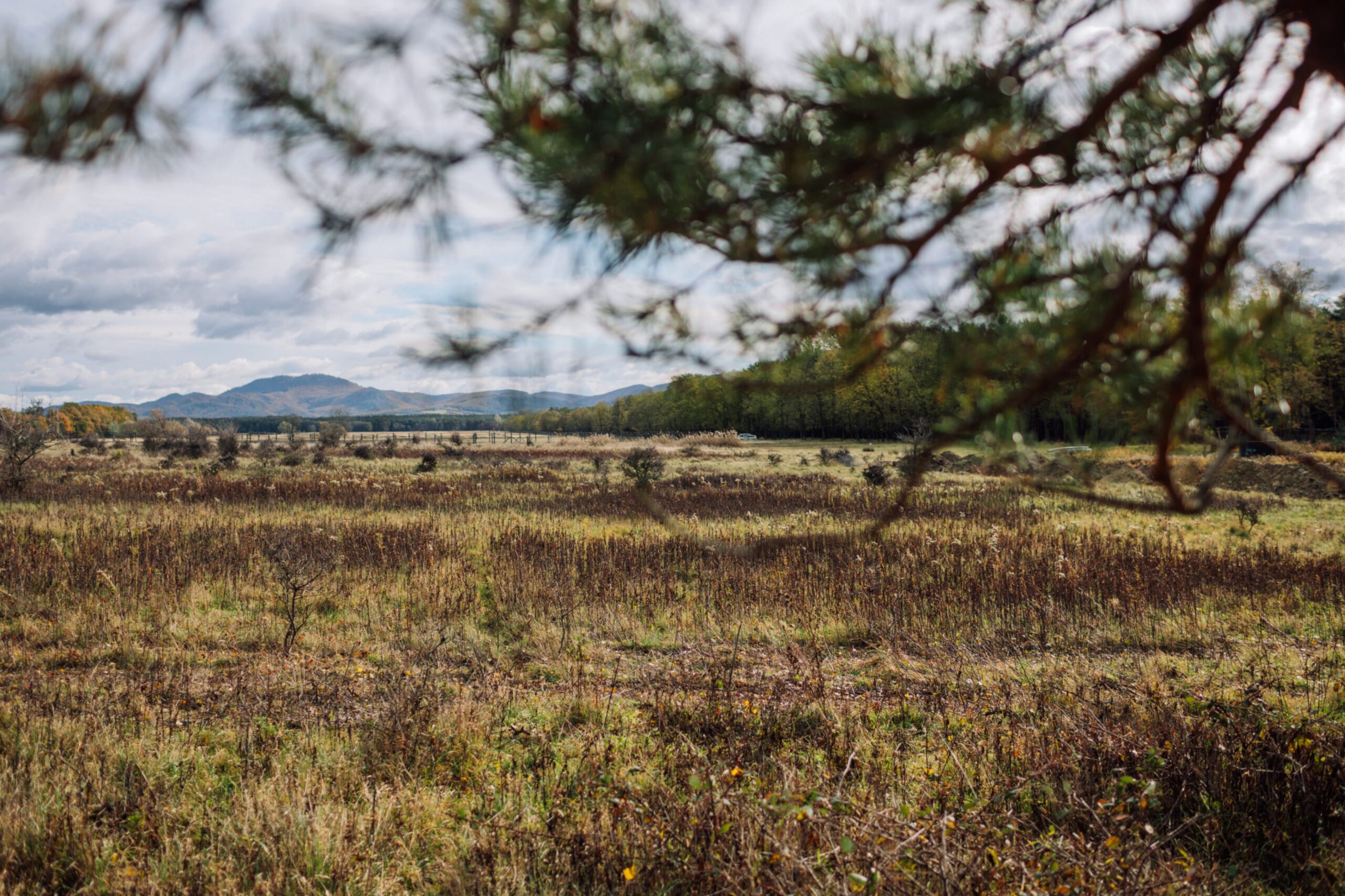 Pozemok pre projekt MAYER 