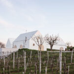 What Architects: Vinárstvo S Strekov