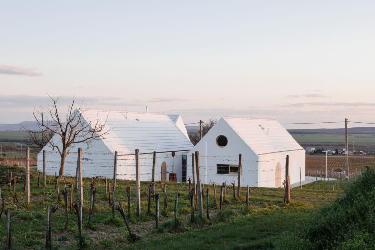 What Architects: Vinárstvo S Strekov