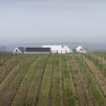 What Architects: Vinárstvo S Strekov